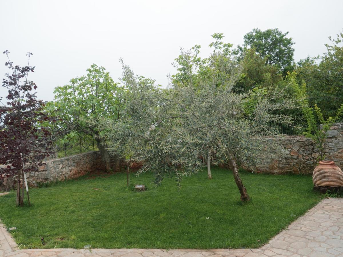 Vintage Stone-Built Country Cottage In Richea Kouloureika Εξωτερικό φωτογραφία